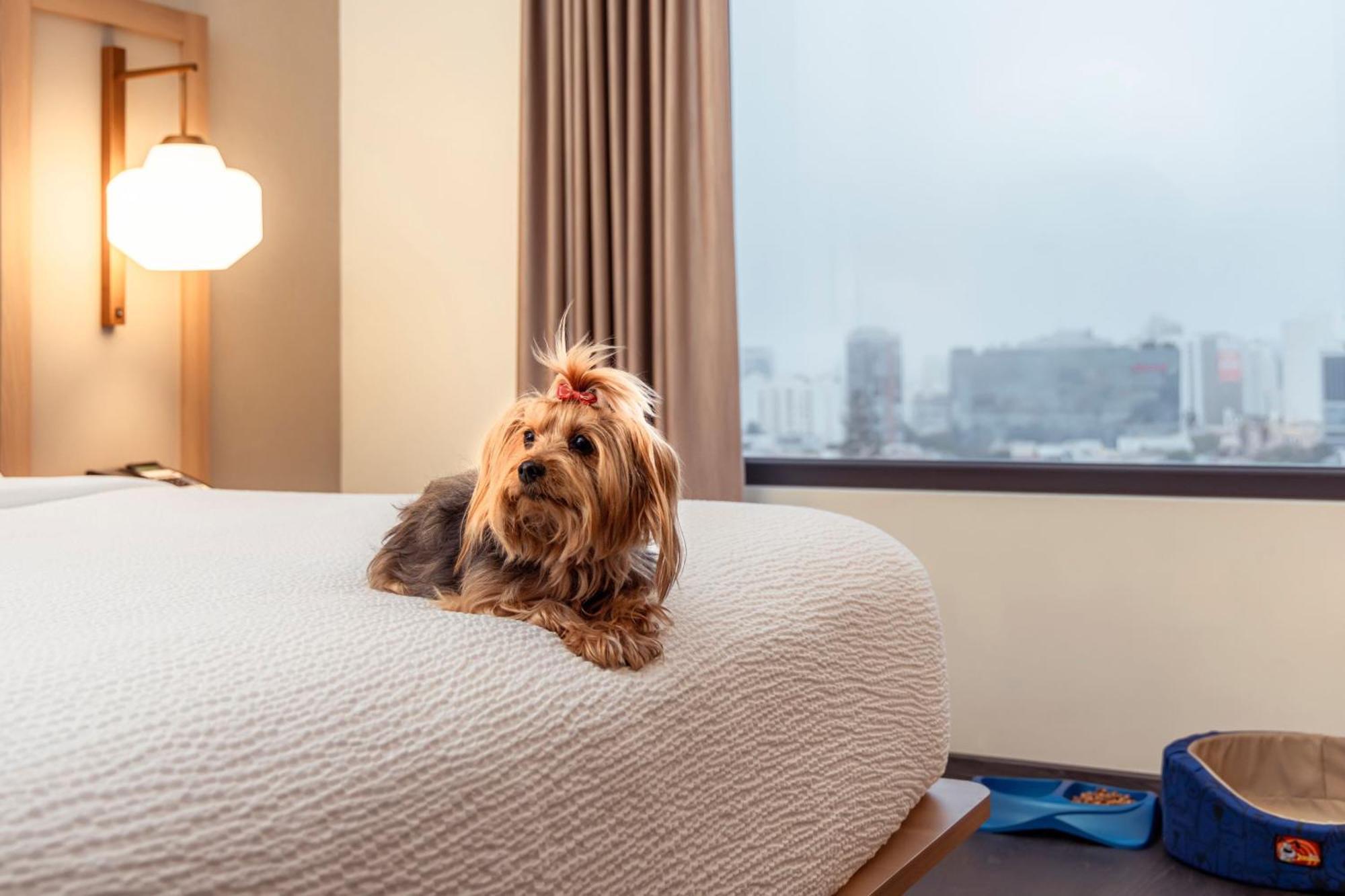 Fairfield By Marriott Lima Miraflores Eksteriør billede
